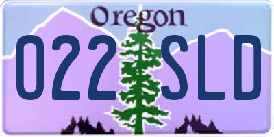 OR license plate 022SLD