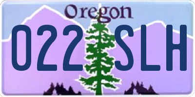 OR license plate 022SLH