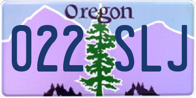 OR license plate 022SLJ