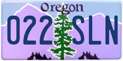 OR license plate 022SLN