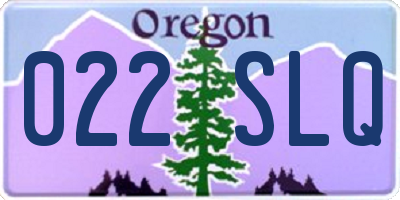 OR license plate 022SLQ