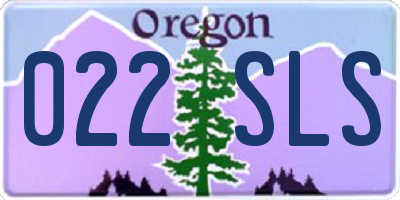 OR license plate 022SLS
