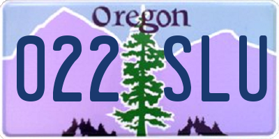 OR license plate 022SLU