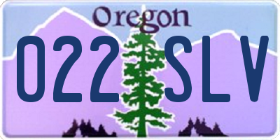 OR license plate 022SLV
