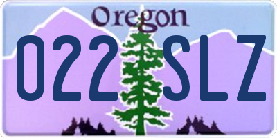OR license plate 022SLZ