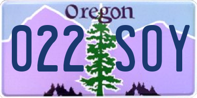 OR license plate 022SOY