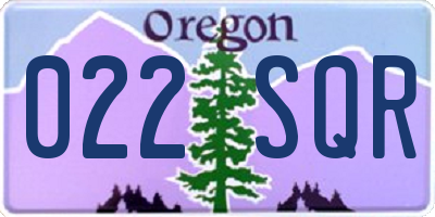 OR license plate 022SQR