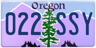 OR license plate 022SSY