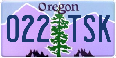 OR license plate 022TSK