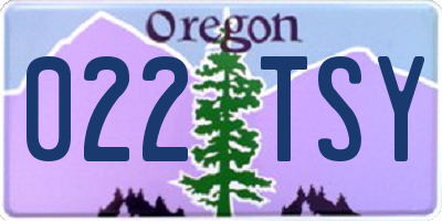 OR license plate 022TSY
