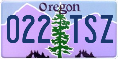OR license plate 022TSZ