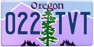OR license plate 022TVT