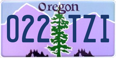 OR license plate 022TZI