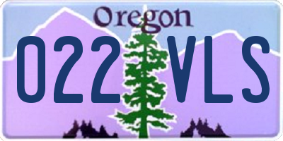 OR license plate 022VLS