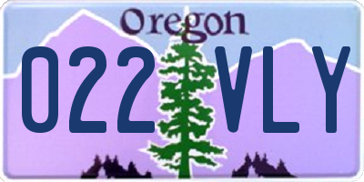OR license plate 022VLY