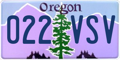 OR license plate 022VSV