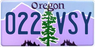 OR license plate 022VSY