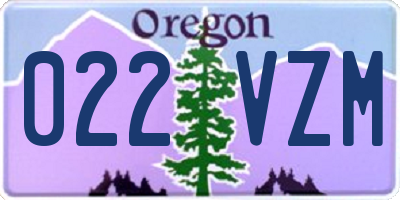 OR license plate 022VZM