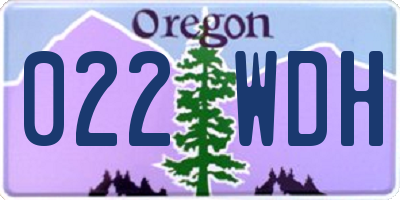 OR license plate 022WDH