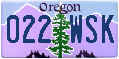 OR license plate 022WSK