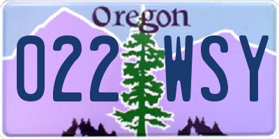 OR license plate 022WSY