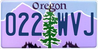OR license plate 022WVJ