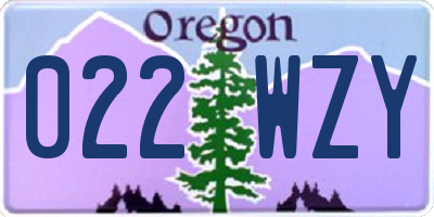 OR license plate 022WZY