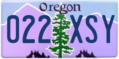 OR license plate 022XSY