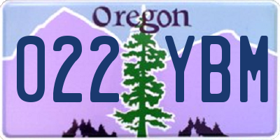 OR license plate 022YBM