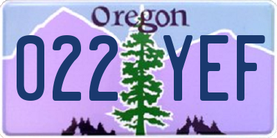 OR license plate 022YEF