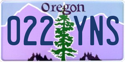OR license plate 022YNS