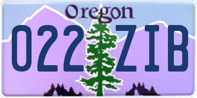 OR license plate 022ZIB