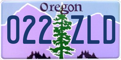OR license plate 022ZLD
