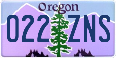 OR license plate 022ZNS