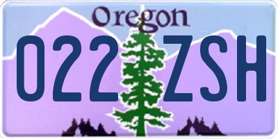 OR license plate 022ZSH
