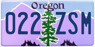 OR license plate 022ZSM