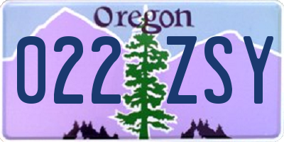 OR license plate 022ZSY