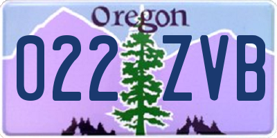 OR license plate 022ZVB