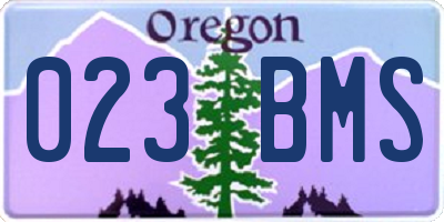 OR license plate 023BMS