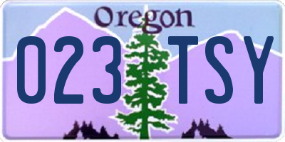 OR license plate 023TSY