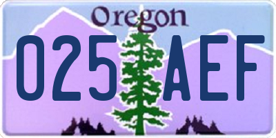 OR license plate 025AEF