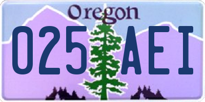 OR license plate 025AEI