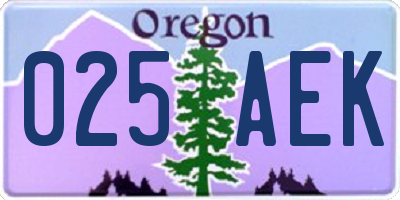 OR license plate 025AEK