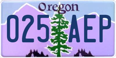 OR license plate 025AEP