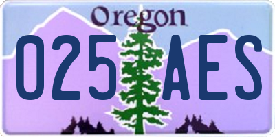 OR license plate 025AES