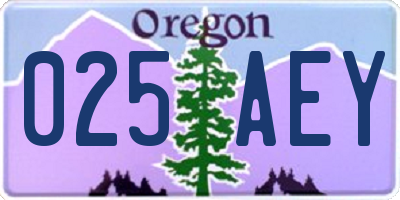 OR license plate 025AEY