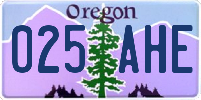 OR license plate 025AHE