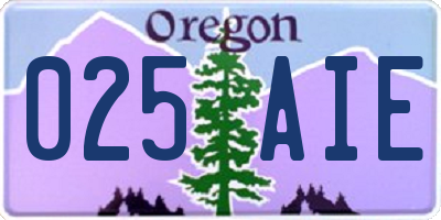 OR license plate 025AIE