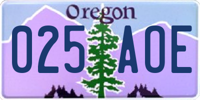 OR license plate 025AOE
