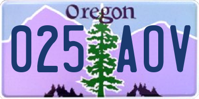 OR license plate 025AOV